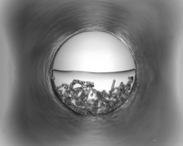 X0000095690193200802051320