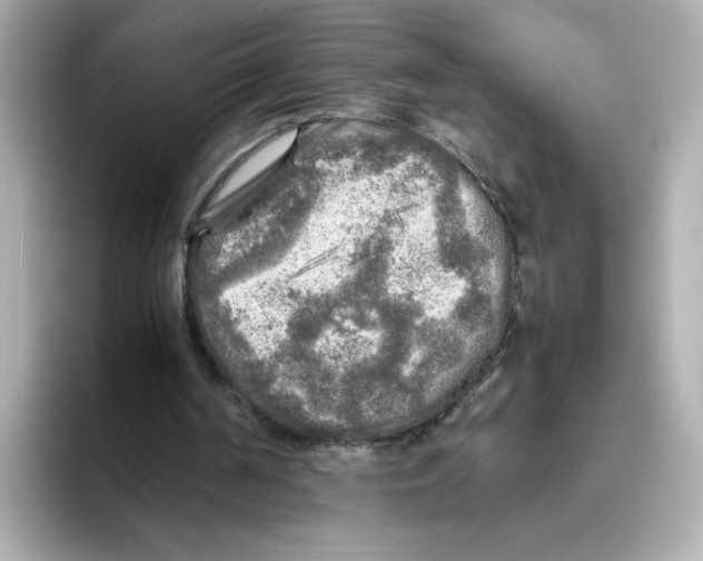 X0000095690194200802051320