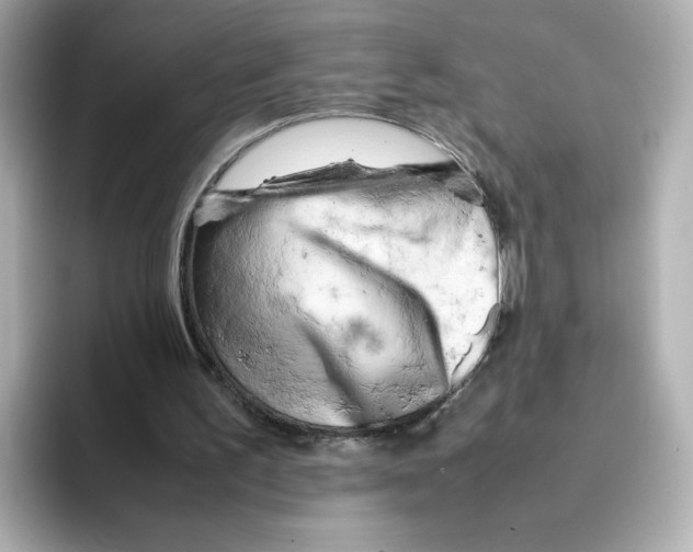 X0000095690195200802051320