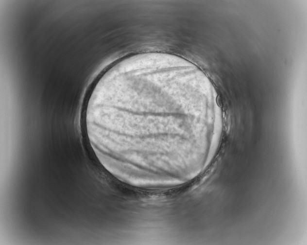 X0000095690196200802051320