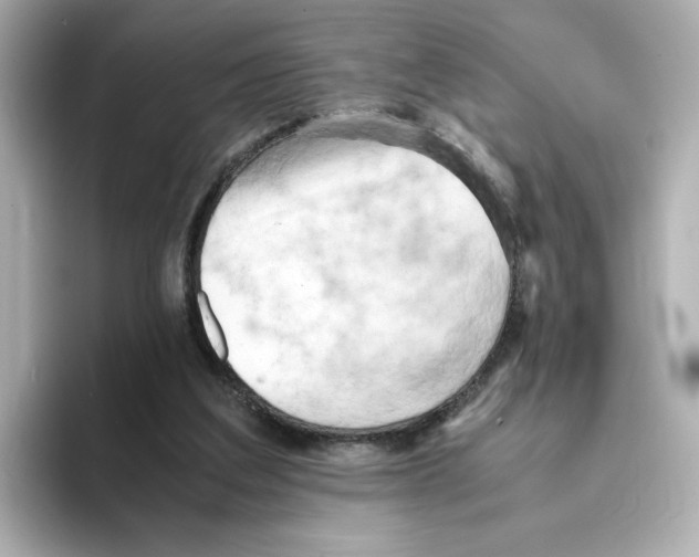 X0000095690203200802051320