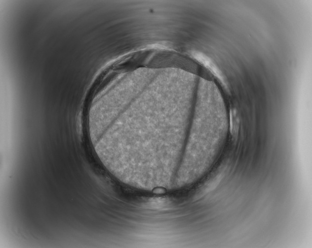 X0000095690204200802051320