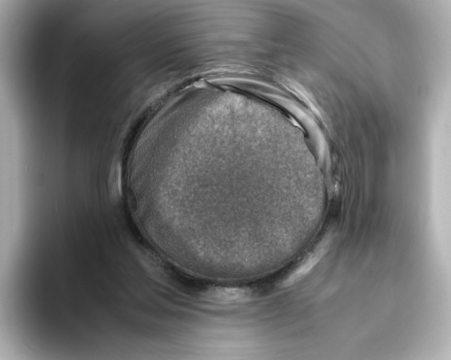 X0000095690205200802051320