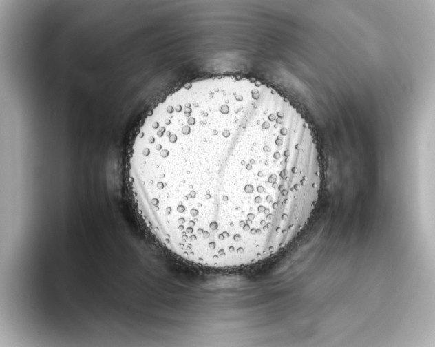X0000095690210200802051319