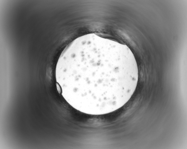 X0000095690211200802051319
