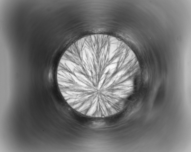 X0000095690214200802051319