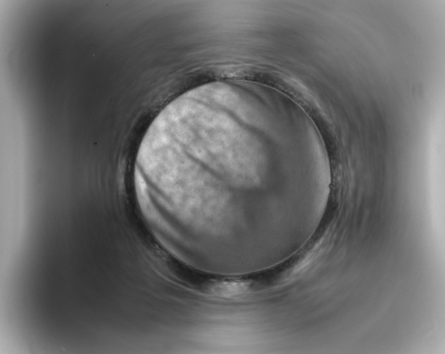 X0000095690217200802051319