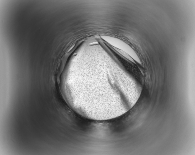 X0000095690221200802051319