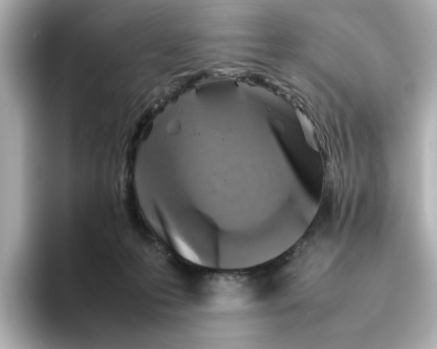 X0000095690223200802051319