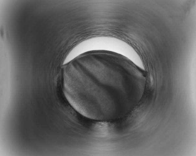 X0000095690227200802051319