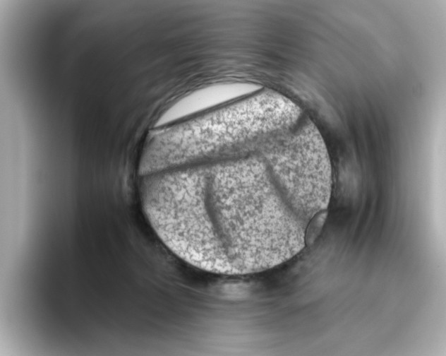 X0000095690228200802051319