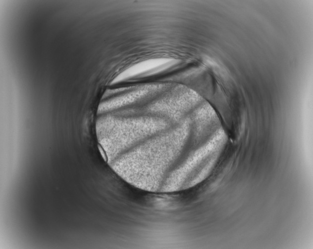 X0000095690229200802051319