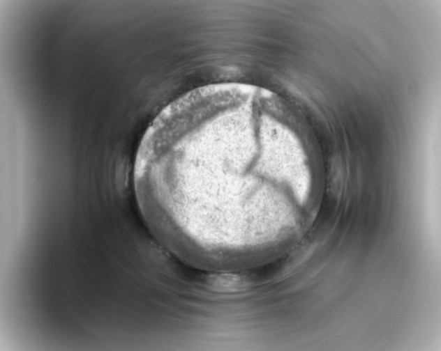 X0000095690230200802051319