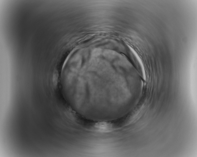 X0000095690231200802051319