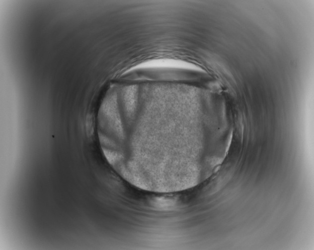 X0000095690232200802051319