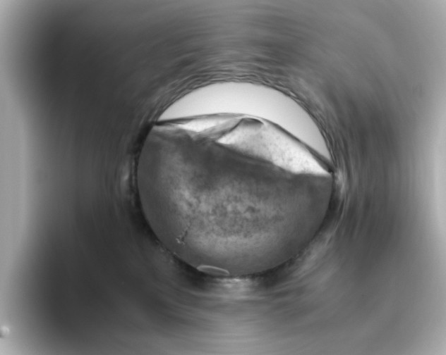 X0000095690233200802051319