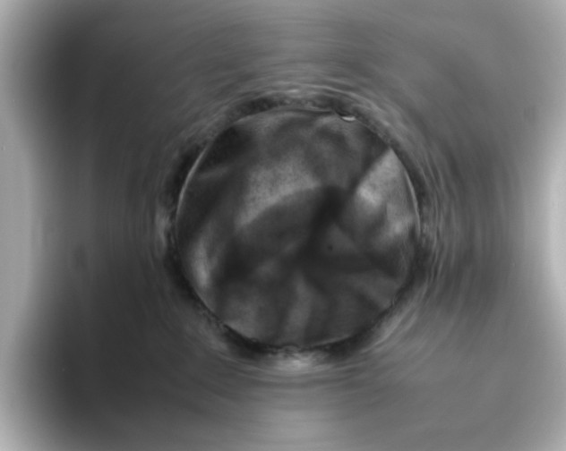 X0000095690235200802051319