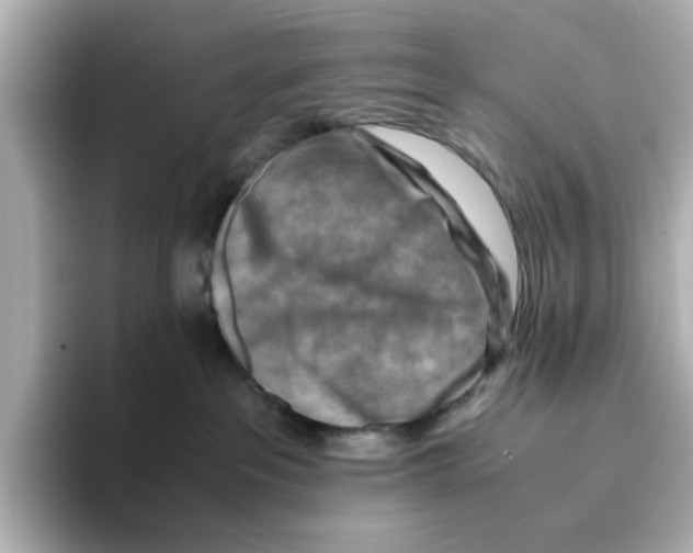 X0000095690237200802051319