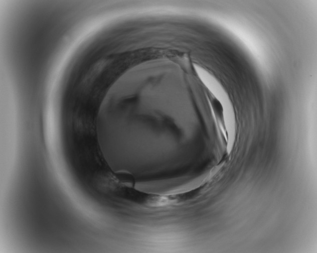 X0000095690239200802051319