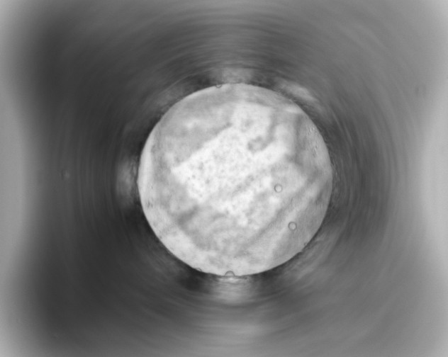 X0000095690240200802051319