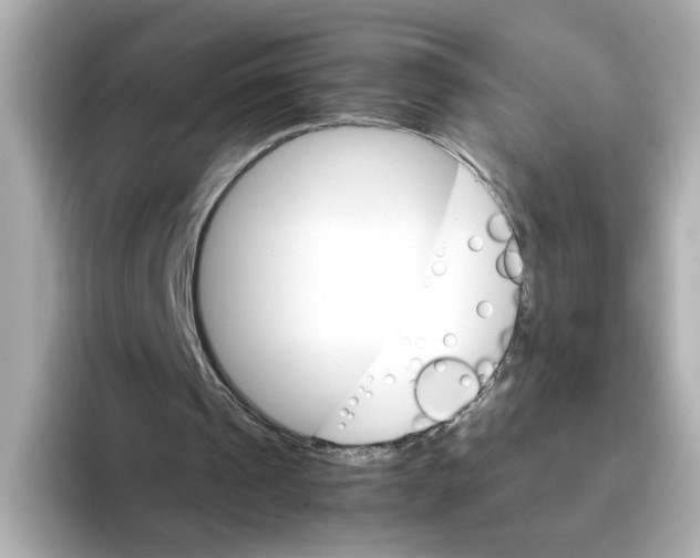 X0000095690241200802051318