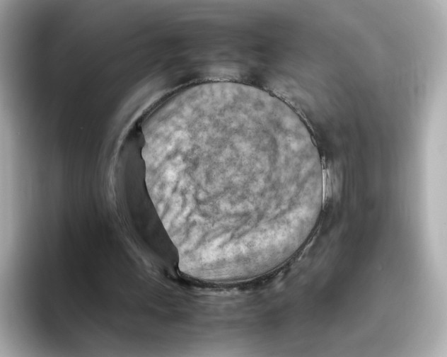 X0000095690243200802051318