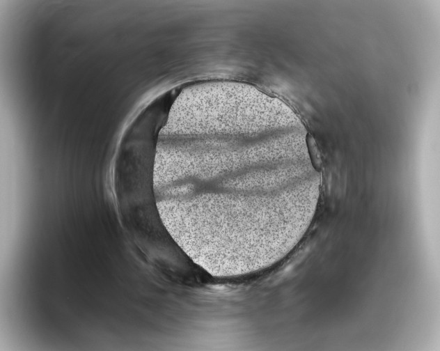 X0000095690244200802051318