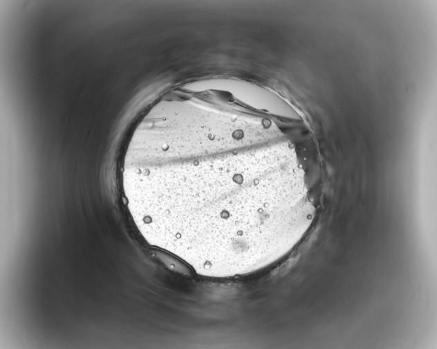 X0000095690245200802051319