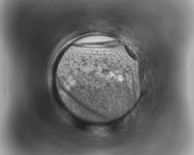 X0000095690247200802051319