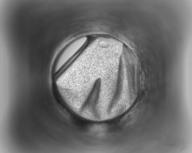 X0000095690248200802051319