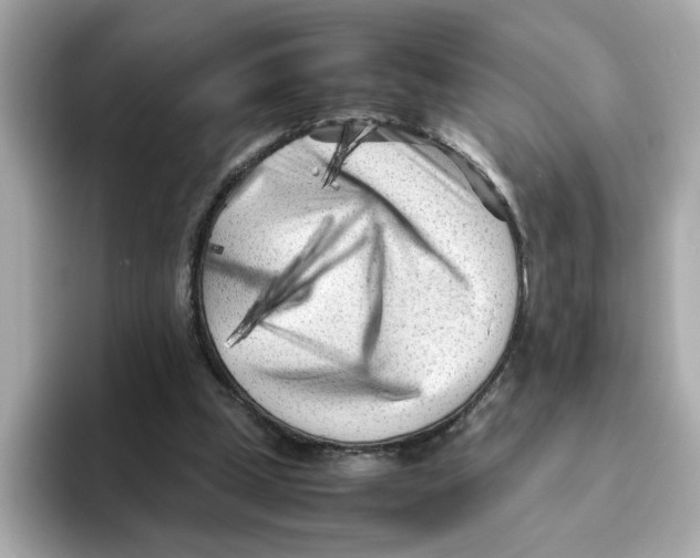 X0000095690249200802051319