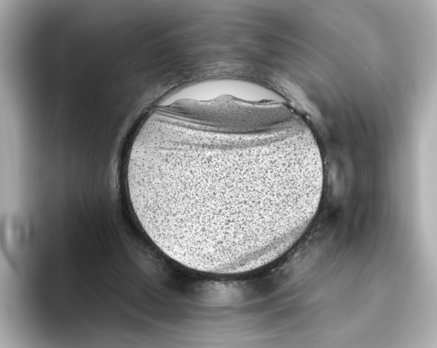X0000095690250200802051319