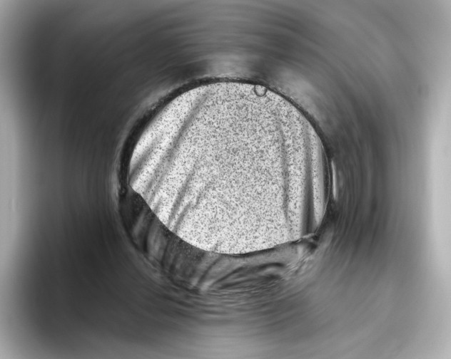 X0000095690252200802051319