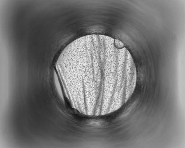X0000095690255200802051319