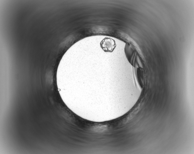 X0000095690257200802051319