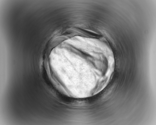 X0000095690260200802051319