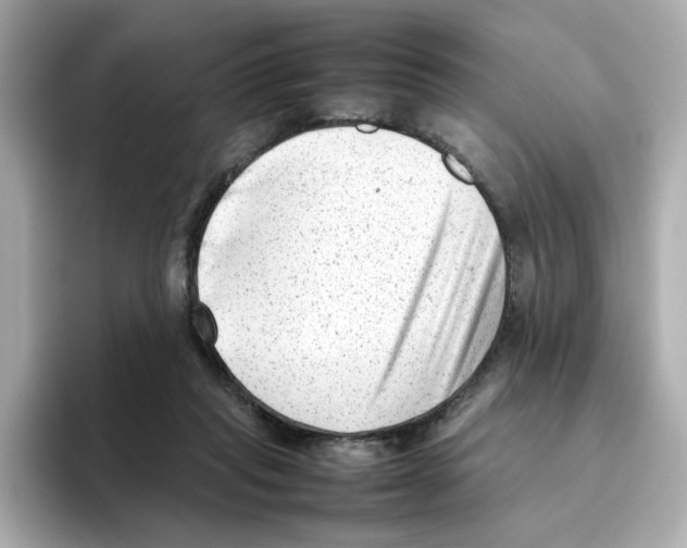 X0000095690261200802051319