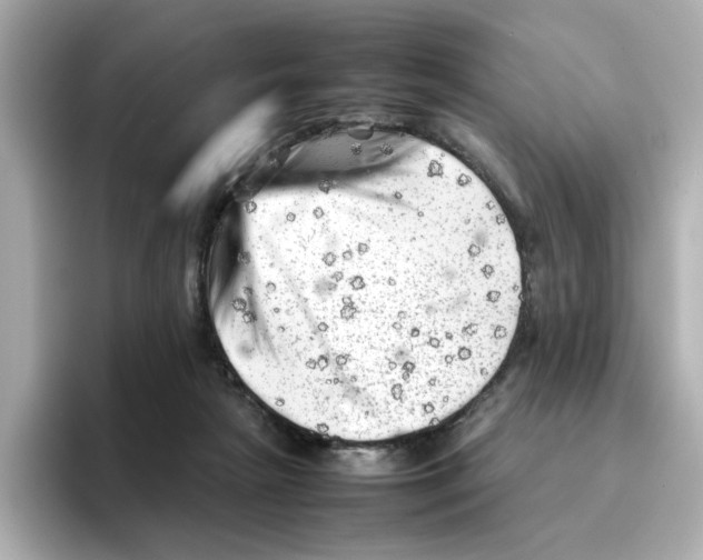 X0000095690265200802051319