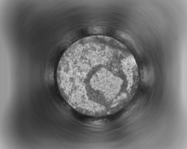 X0000095690267200802051319