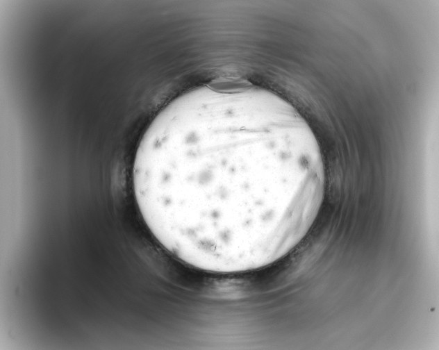 X0000095690268200802051319
