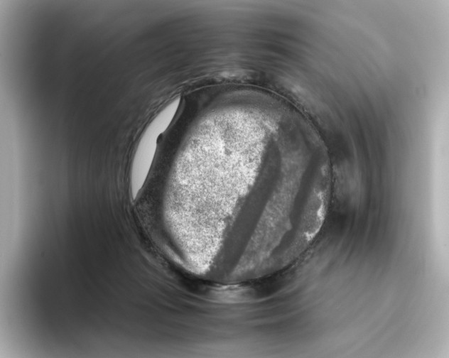 X0000095690269200802051319