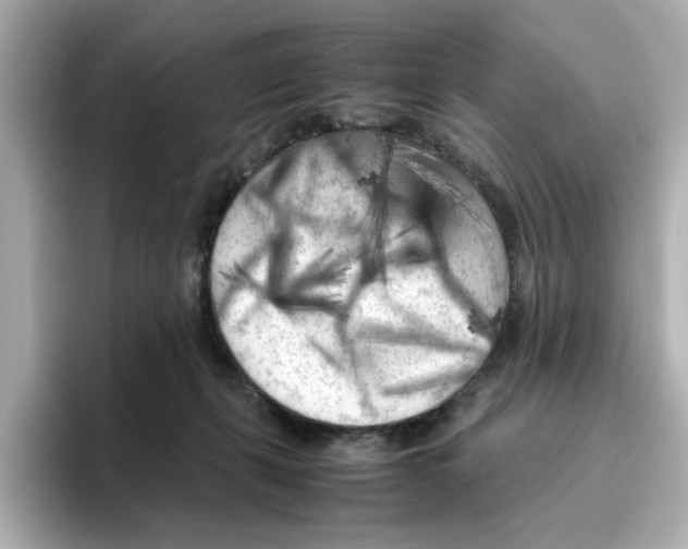 X0000095690271200802051319
