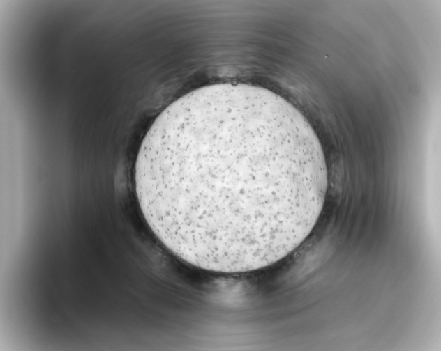 X0000095690272200802051319