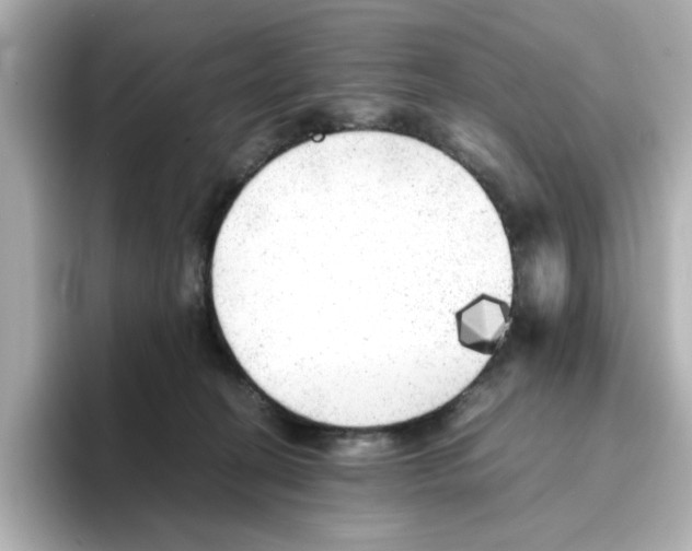 X0000095690274200802051319