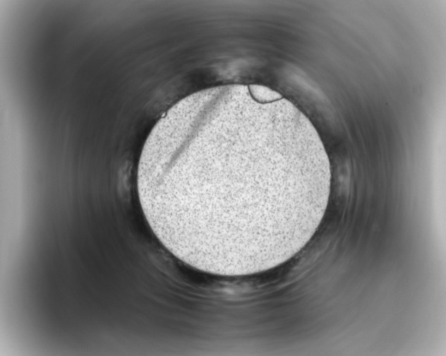 X0000095690275200802051319