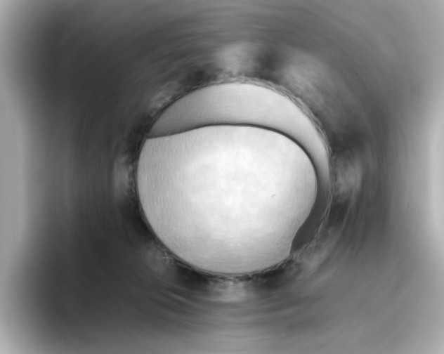 X0000095690276200802051319