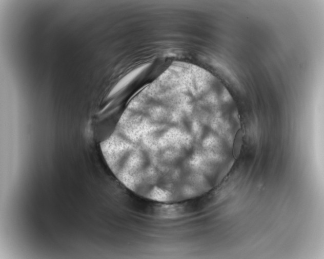X0000095690277200802051319