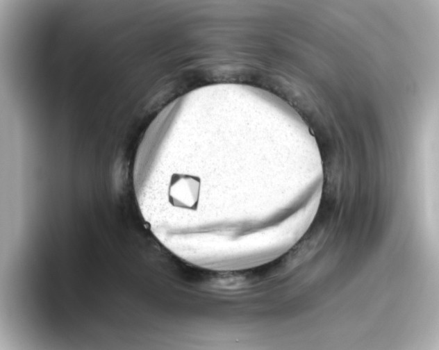 X0000095690278200802051319