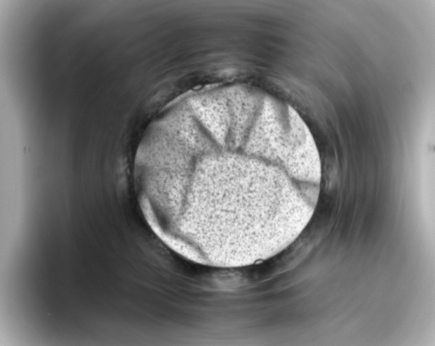 X0000095690279200802051319
