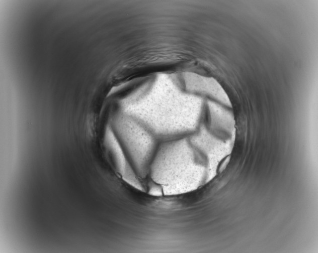 X0000095690280200802051319